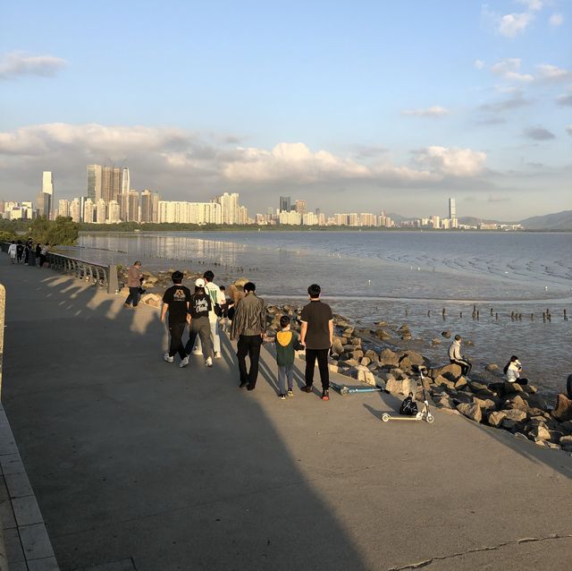 The best way to see the Shenzhen Skyline 