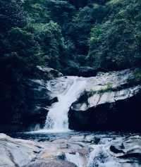 夏日避暑勝地，臥龍谷