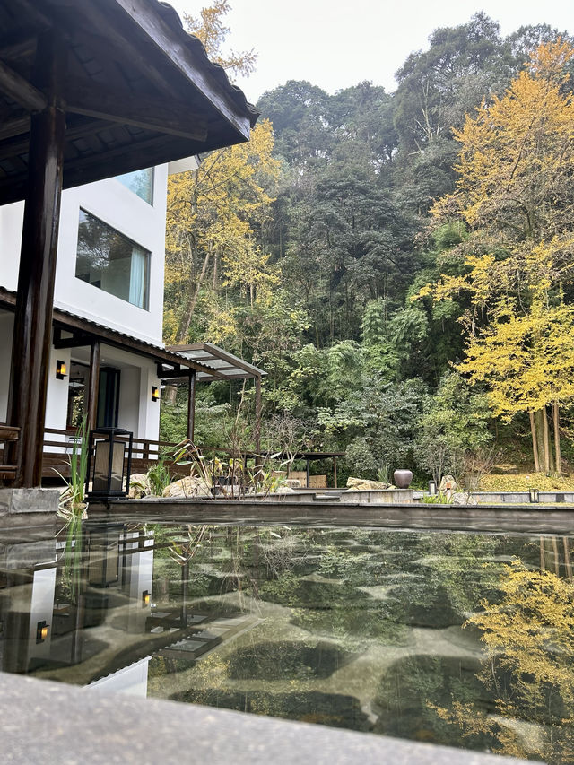 我的生命是一輩子的春和景明