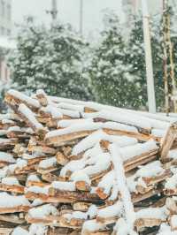 我喜歡下雪天，更喜歡帶我看雪的你