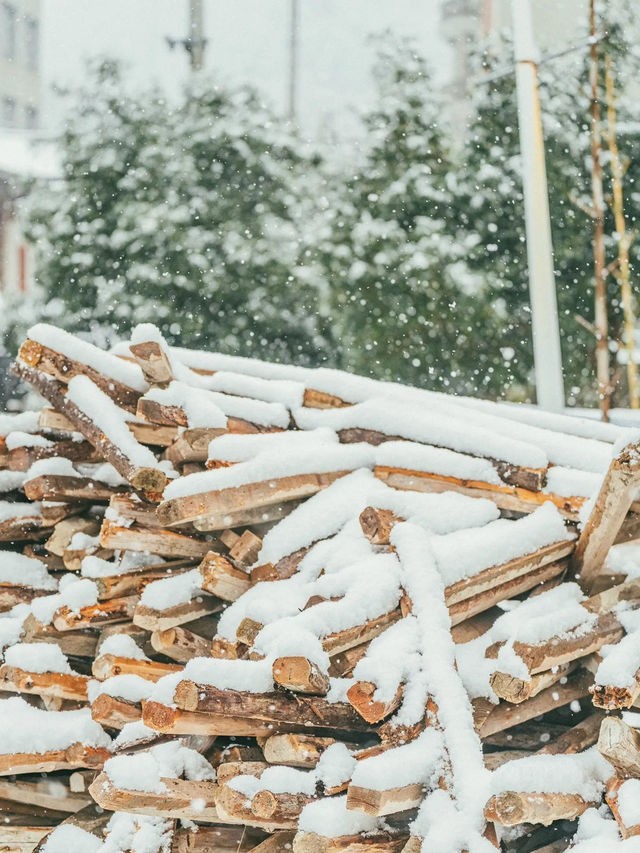 我喜歡下雪天，更喜歡帶我看雪的你