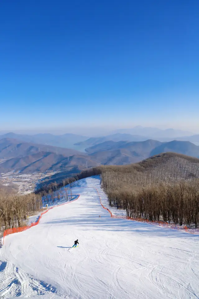 Northeast Skiing | This must be the ice and snow forest in fairy tales