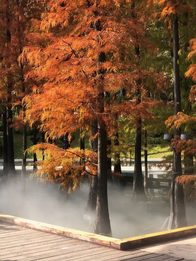 QianDeng Water Pavilion: The beauty of romantic red leaves in deep winter, the latest check-in holy land is waiting for you