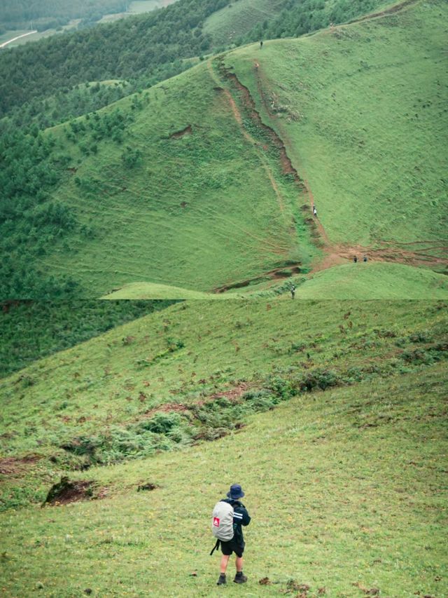 鳳龍山-入門級徒步路線