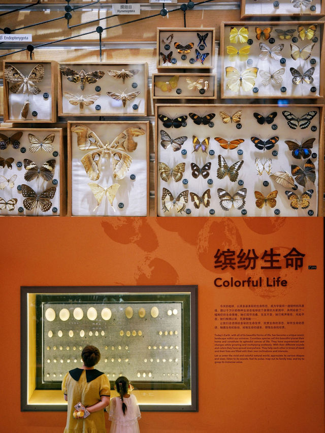 帶上老公去逛上海自然博物館～每個恐龍迷的樂園