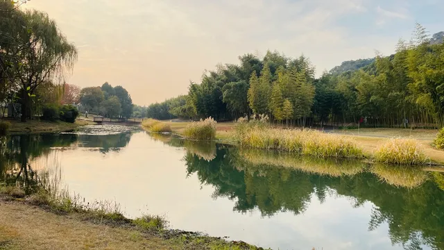 這不是瑞士!這是在上海! 這不是瑞士!這是在上海!