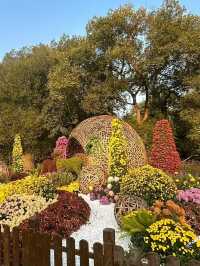 上海共青森林公園旅遊攻略