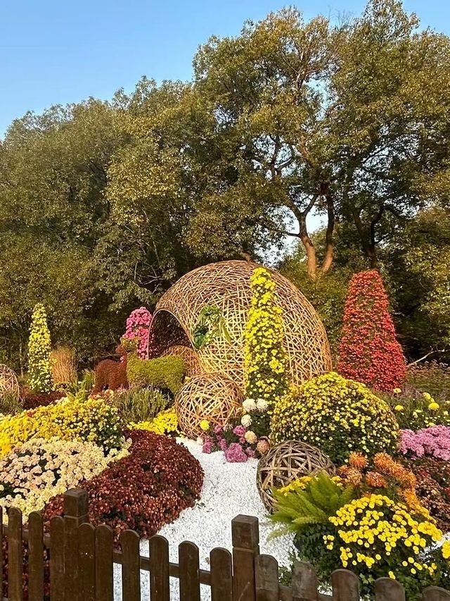 上海共青森林公園旅遊攻略