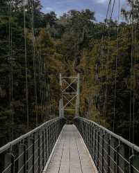 🌊 น้ำสีสวยเมือง Hokitika Gorge: ความงดงามแห่งนิวซีแลนด์!