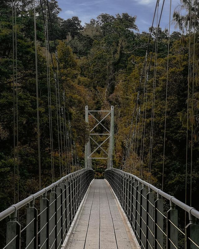 🌊 น้ำสีสวยเมือง Hokitika Gorge: ความงดงามแห่งนิวซีแลนด์!