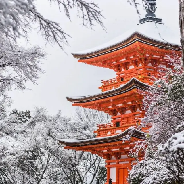 日本京都下雪啦｜赏雪目的地❄️游玩攻略