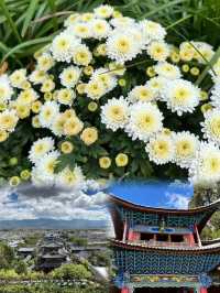 萬物美好，你要多笑