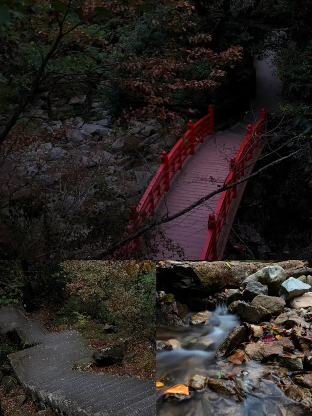 A great place to relax!