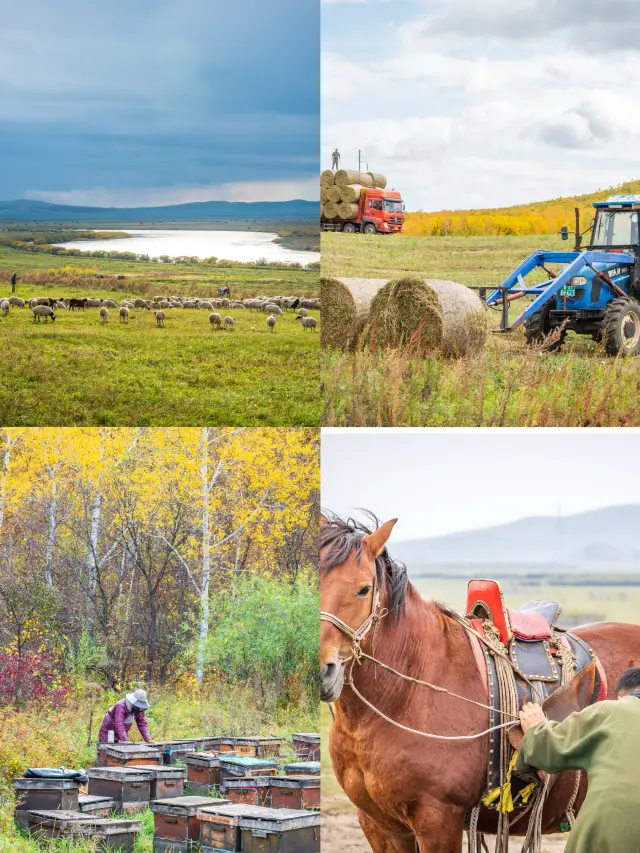 Hulunbuir's unique and niche photography journey