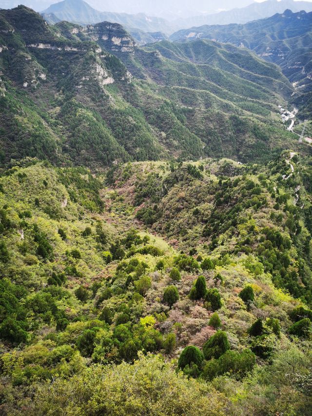 仙台山位於河北省石家莊市井陘縣境內，是國家森林公園，景區面積大，遊覽設施全，景色風光美，有奇缺植被、