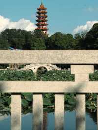 武漢周邊遊｜婁底秋日圖｜青山尋秋（青山公園） 武漢周邊婁底藏著這麼一處有秋意的公園 雨後天氣晚來秋