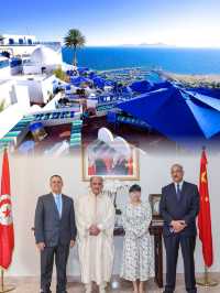 突尼斯的夢幻之島被列入世界遺產名錄！一起來體驗突尼斯