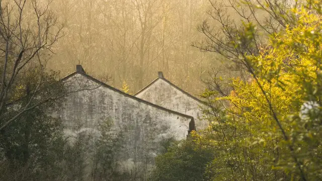 The fields and mountains are always full of the atmosphere of the New Year