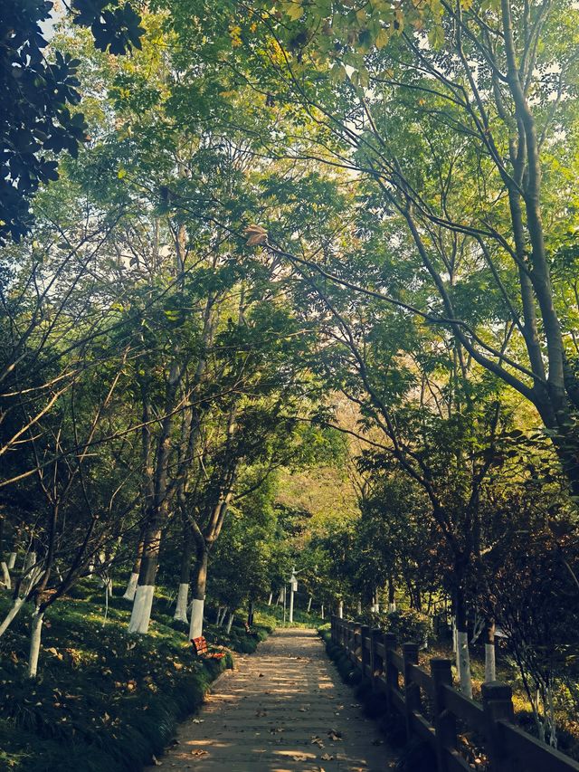 冬日漫遊東山公園，沒想到江南竟藏著這樣古色古香的小眾秘境