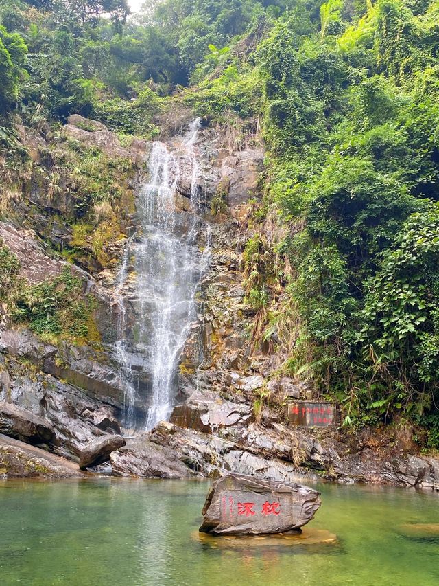 廣州一肇慶|鼎湖山一日遊|吸口仙氣