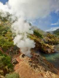 無縫對接大自然，勘察加10日，棕熊、火山、帝王蟹、溫泉