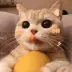 Hayes_Cynthia_58