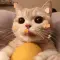 Hayes_Cynthia_58