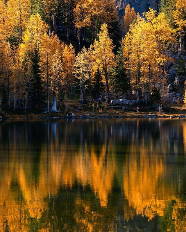 Unveiling the Breathtaking Beauty: Get Lost in a Captivating Collection of Autumn Images from Washington State! 📸✨🍁