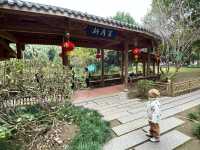 屏山公園賞櫻