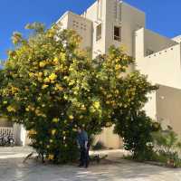 Springtime in Egypt! 