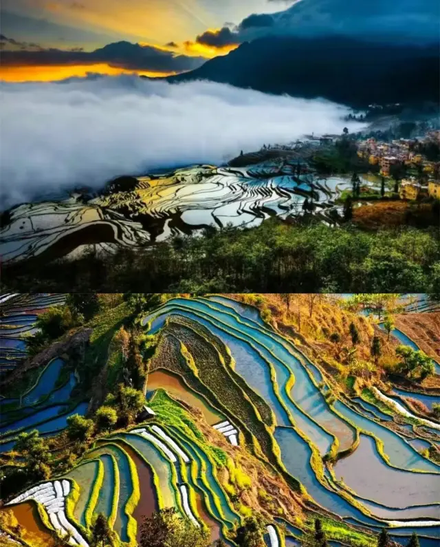 11일부터 2월까지 윈난 여행|7일 6박으로 즐겁게 놀아요!