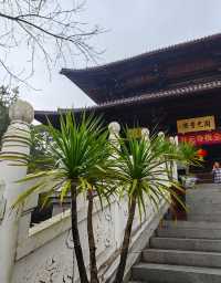 超冷門的柳州開元寺，廣西最大的唐風寺廟！