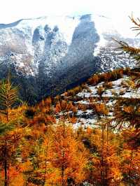十年武山，印象渭川