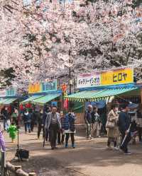🌸 昨年の弘前公園の桜は美しかったです。