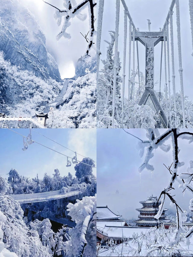 겨울 체크인 | 천문산, 국립삼림공원 ~ 장가계