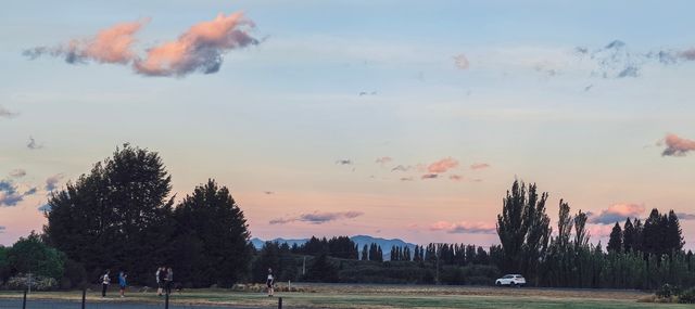 特威斯爾麥肯齊鄉村酒店（Mackenzie Country Ho