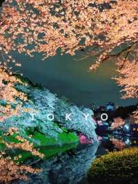 🌸東京賞櫻新發現！千鸟之渊＆更多祕境🤫
