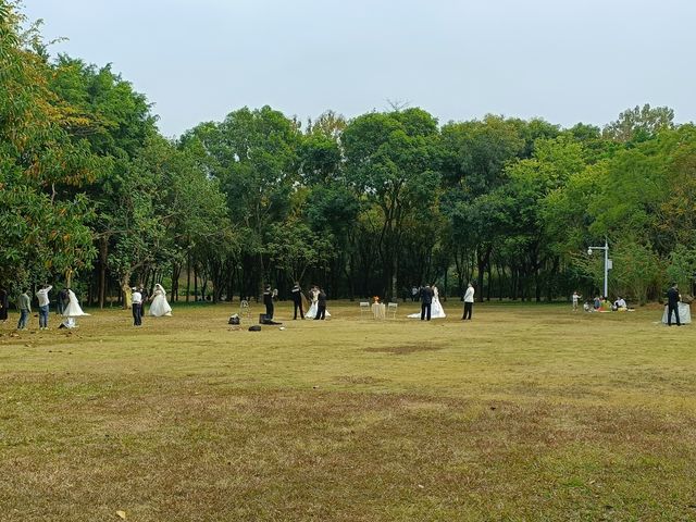 探索自然與繁華：深圳紅樹林與歡樂海岸雙重體驗之旅