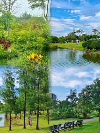 深圳最浪漫公園，一年四季有花海