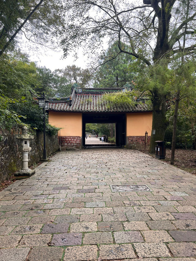浙江寧波天童寺｜山間走禪，見性見佛