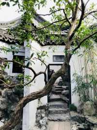 Shanghai YU garden with best architecture 🇨🇳