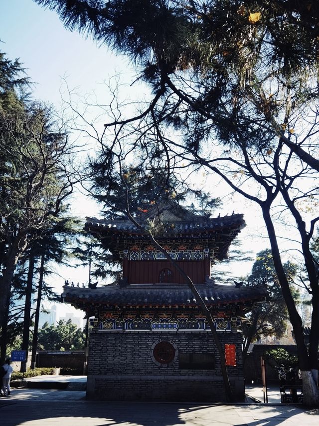 快衝，青島湛山寺有超好吃的齋飯