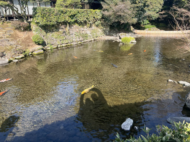 極致日式美景，水前寺成趣園處處是驚喜