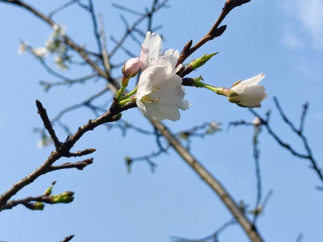 桂林南溪山公園之旅