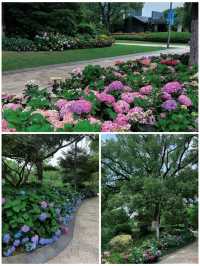 遇見綠島公園，城市中的童話世界