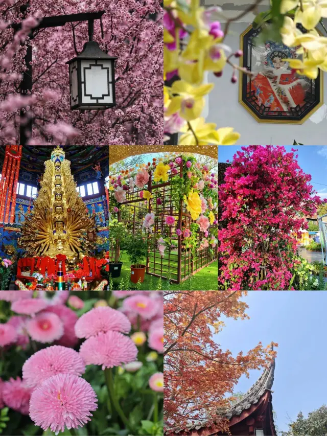 강력 추천!! 무료! 문화공원이 청두의 봄을 모두 가져왔습니다!