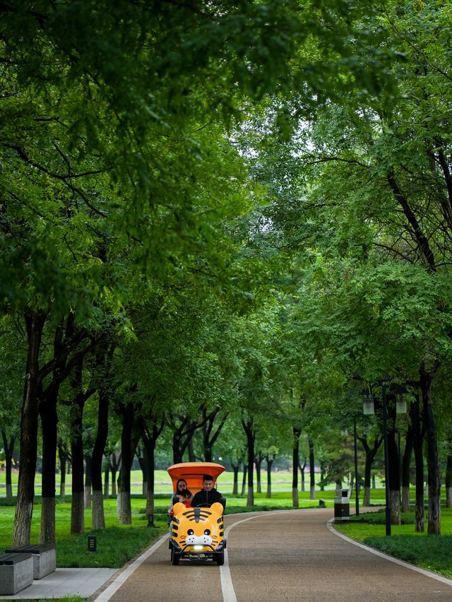 Emerald Wilderness within the Second Ring Road of Xi'an City🌿