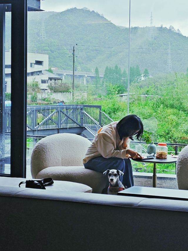 一房一溪一林,住完不想退房的莫干山民宿 一房一溪一林,住完不想退房的莫干山民宿