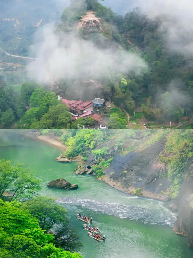 How wonderful is Mount Wuyi, which has been included in the "World Heritage" by the United Nations