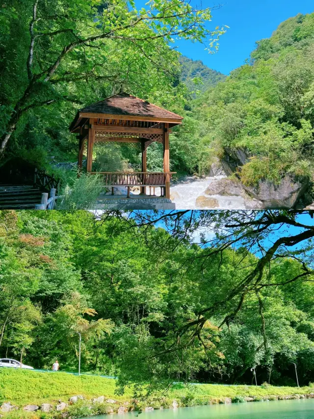 夏の涼しいハイキング、ラッパ川